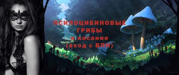 бутират Алзамай